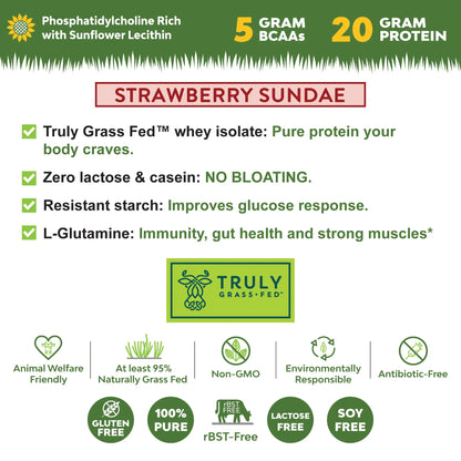 Indulge in the Creamy Delight of Marigold Grass-Fed Strawberry Sundae Whey Protein Isolate - 1Lb of Pure Nutrition!