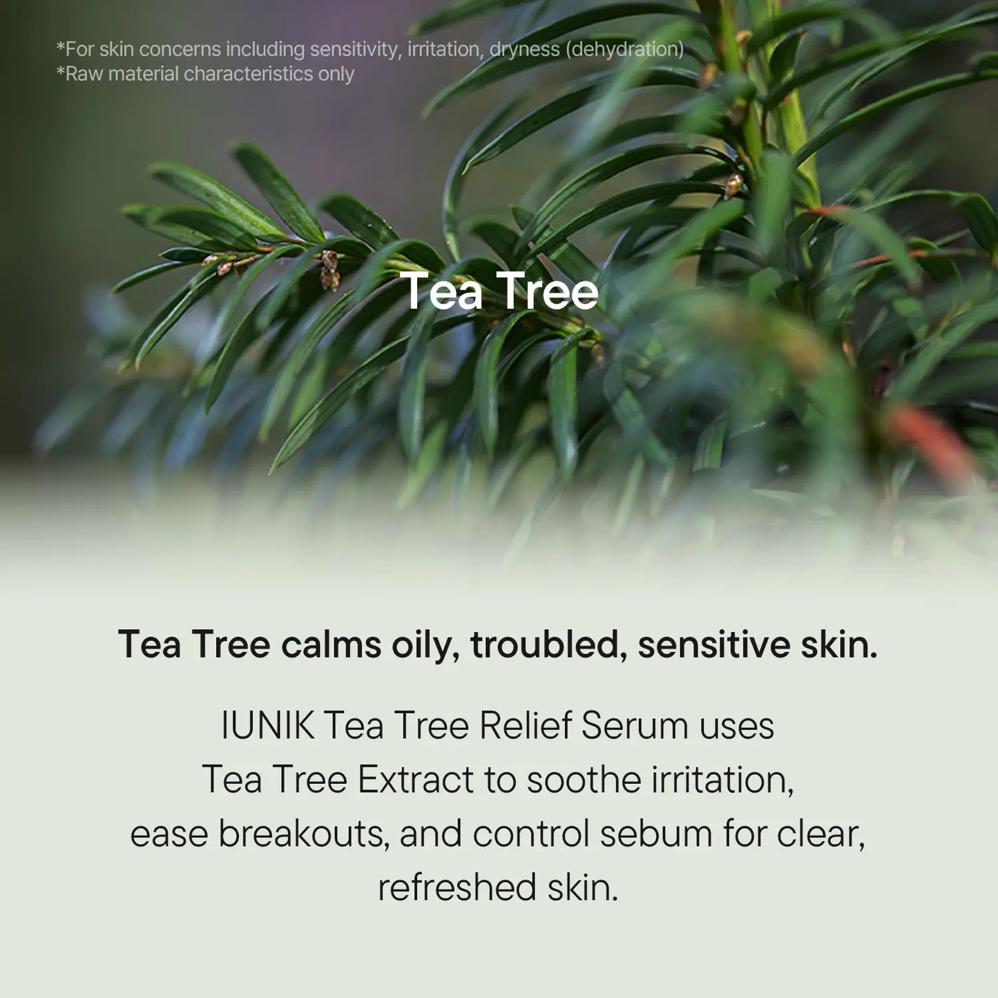 [IUNIK Official] Tea Tree Relief Serum | Calming & Oil Balancing for Oily, Sensitive & Trouble-Prone Skin | 50Ml / 1.69 Fl Oz