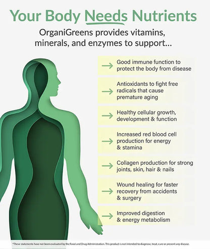Elevate Your Health with Organixx Greens Superfood Powder - Organic, Gluten-Free, Vegan, and Packed with Probiotics and Digestive Enzymes for Ultimate Wellness!