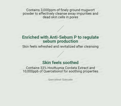 ANUA Heartleaf Quercetinol Pore Deep Cleansing Foam