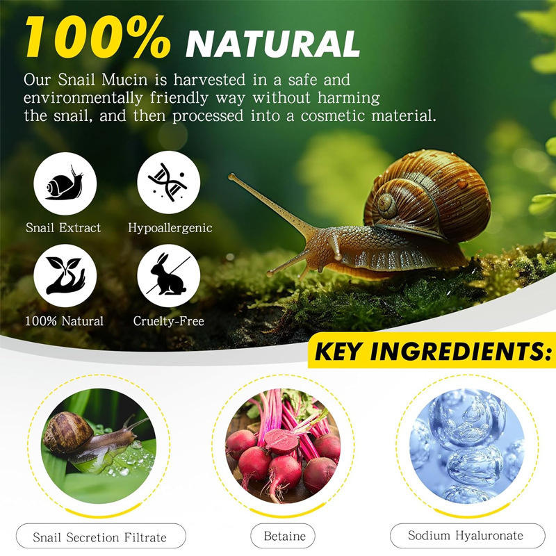 Advanced Snail 96 Mucin Power Essence (3.38 Fl.Oz)
