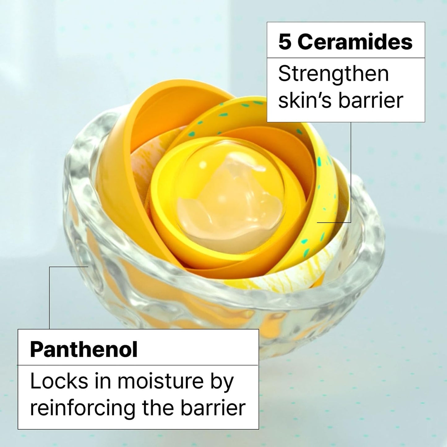 Ceramidin Skin Barrier Korean Face Cream Moisturizer with Ceramides and Panthenol | Korean Skin Care