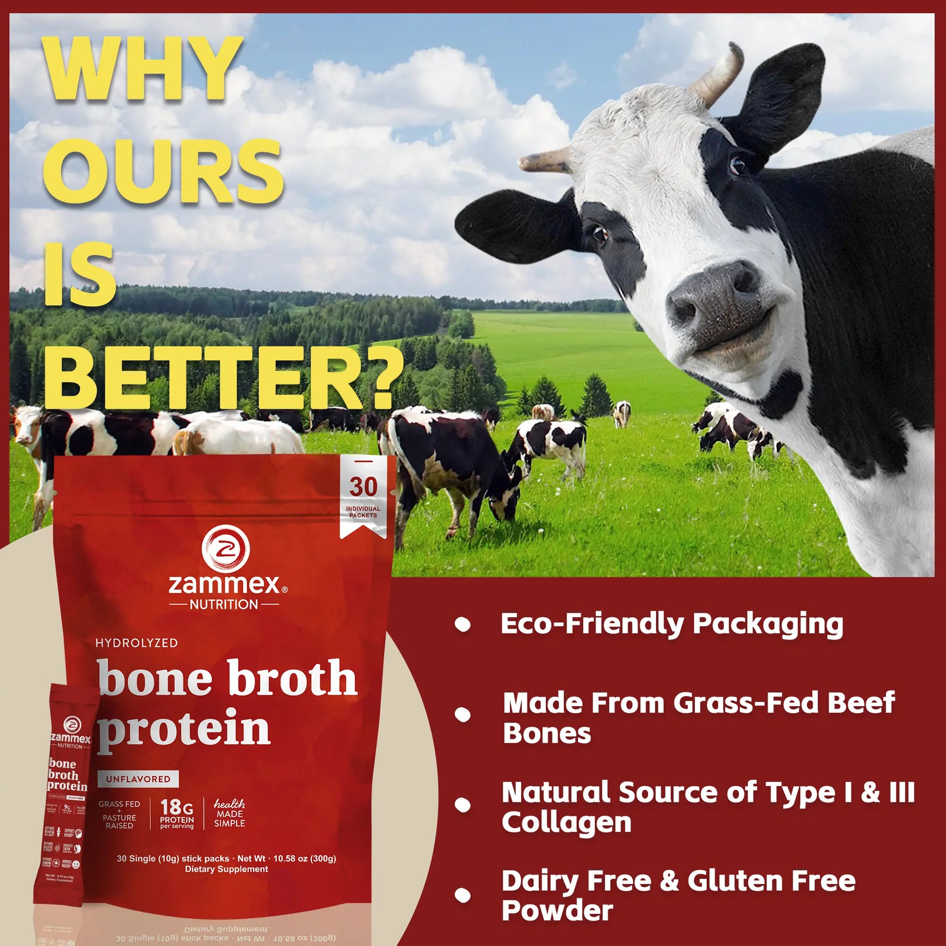Zammex Hydrolyzed Bone Broth Protein Powder - 30 Convenient Travel Packets of Pure Collagen Peptides for Enhanced Fitness and Immune Support